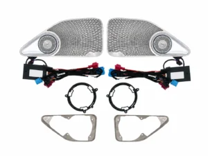 rear door tweeter